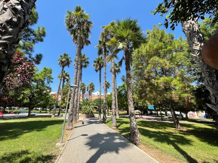 Sol Y Playa Costa Blanca Apartment Torrevieja Luaran gambar